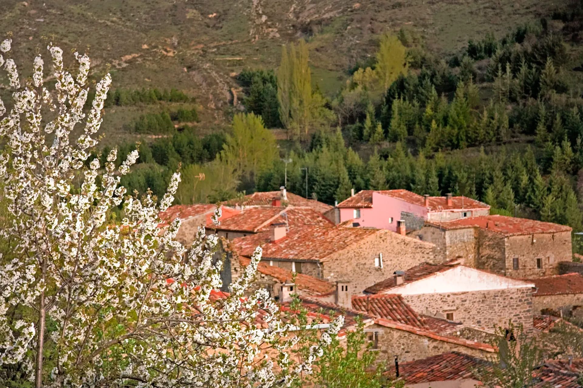 Casa rural Navalsaz
