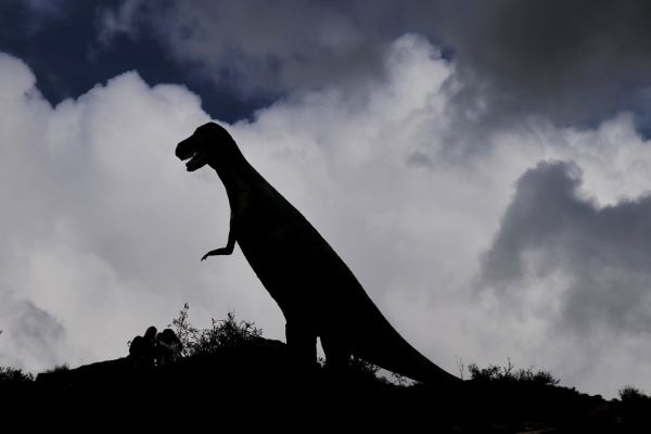 dinosaurio-carnivoro-valdecevillo48D7C890-1A03-6A12-B5F7-B6526F042390.jpg
