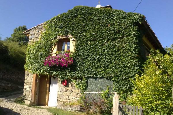 la-casa-de-la-hiedraAAE0BE28-4A46-2C6B-9D0A-A40CB1F77C36.jpg