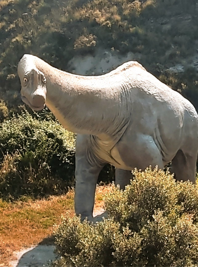 Patrimonio paleontológico